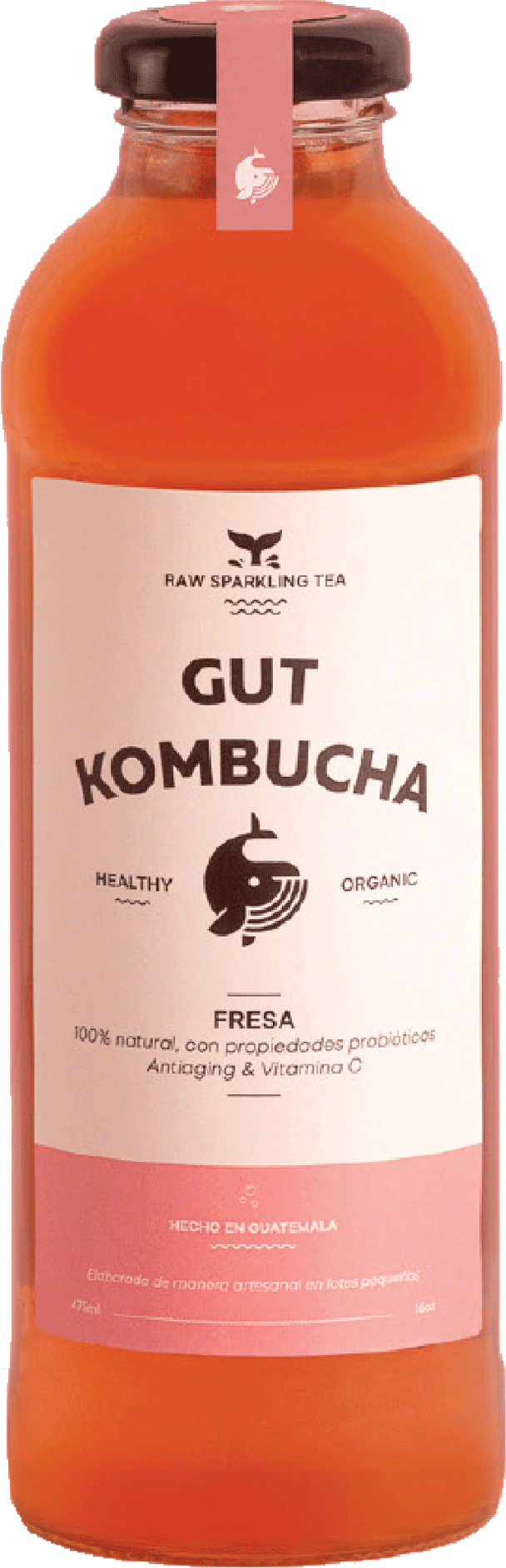 Kombucha fresa